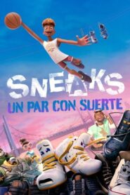 Sneaks: Un Par Con Suerte