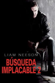 Búsqueda implacable 2