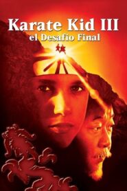 Karate Kid III: El desafío final