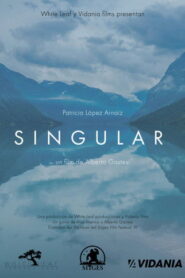 Singular