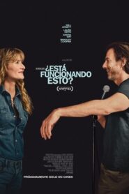 ¿Está funcionando esto?