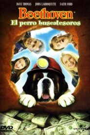 Beethoven 5: El perro buscatesoros
