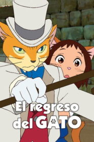 El regreso del gato